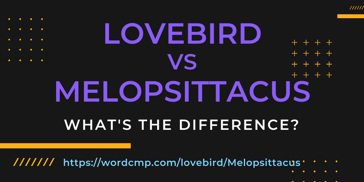Difference between lovebird and Melopsittacus