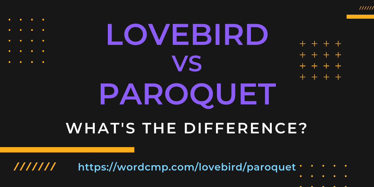 Difference between lovebird and paroquet