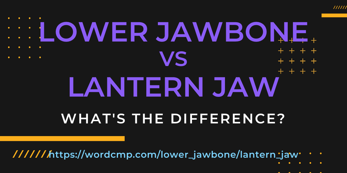 Difference between lower jawbone and lantern jaw