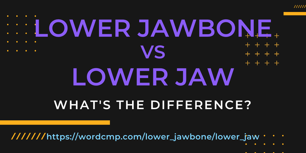 Difference between lower jawbone and lower jaw