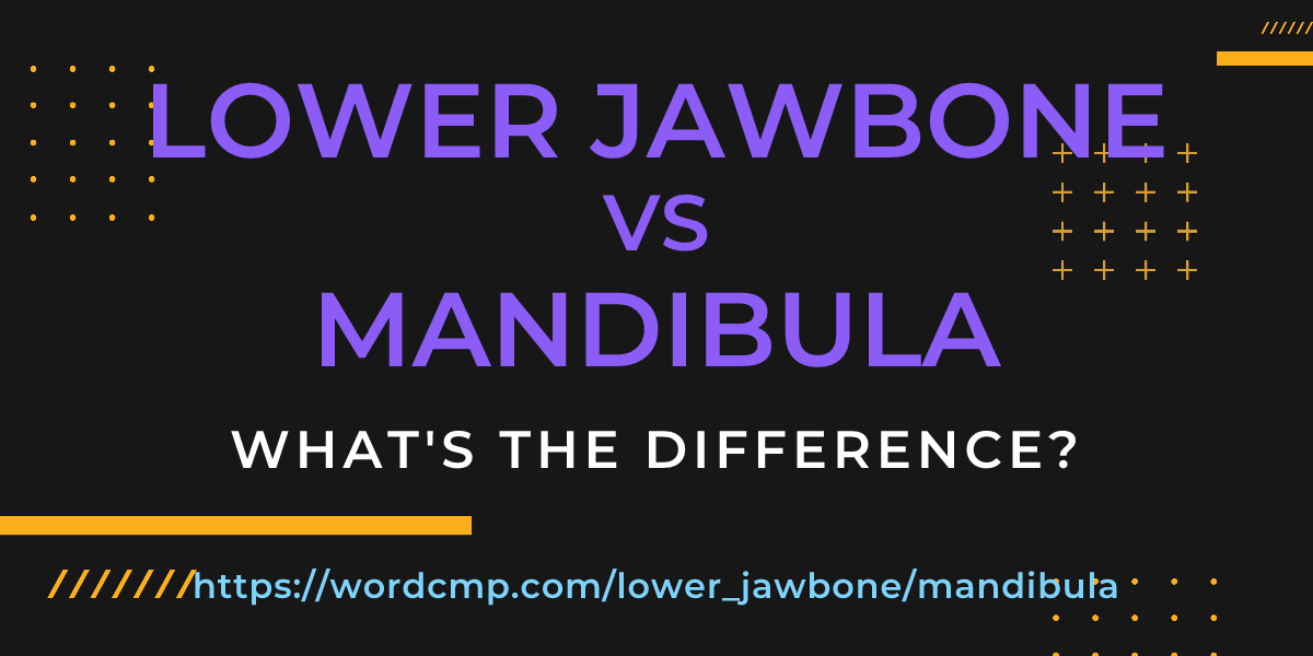 Difference between lower jawbone and mandibula