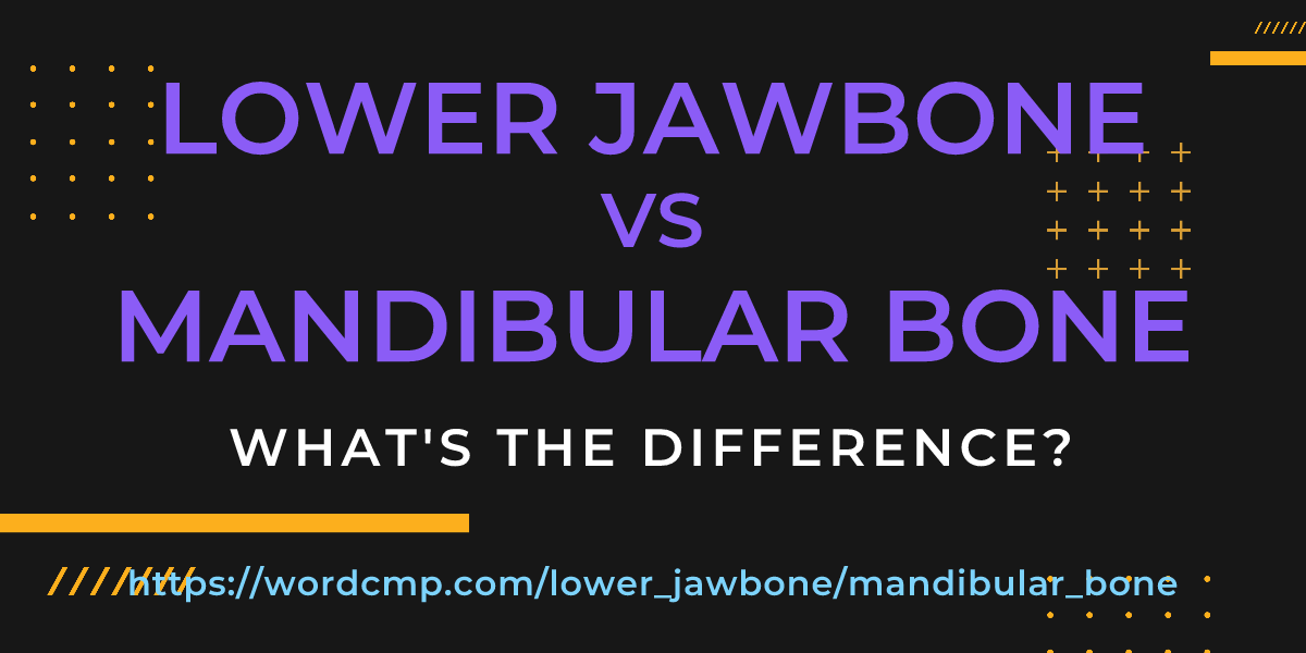 Difference between lower jawbone and mandibular bone