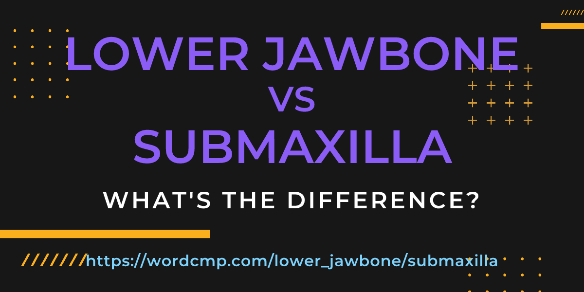Difference between lower jawbone and submaxilla
