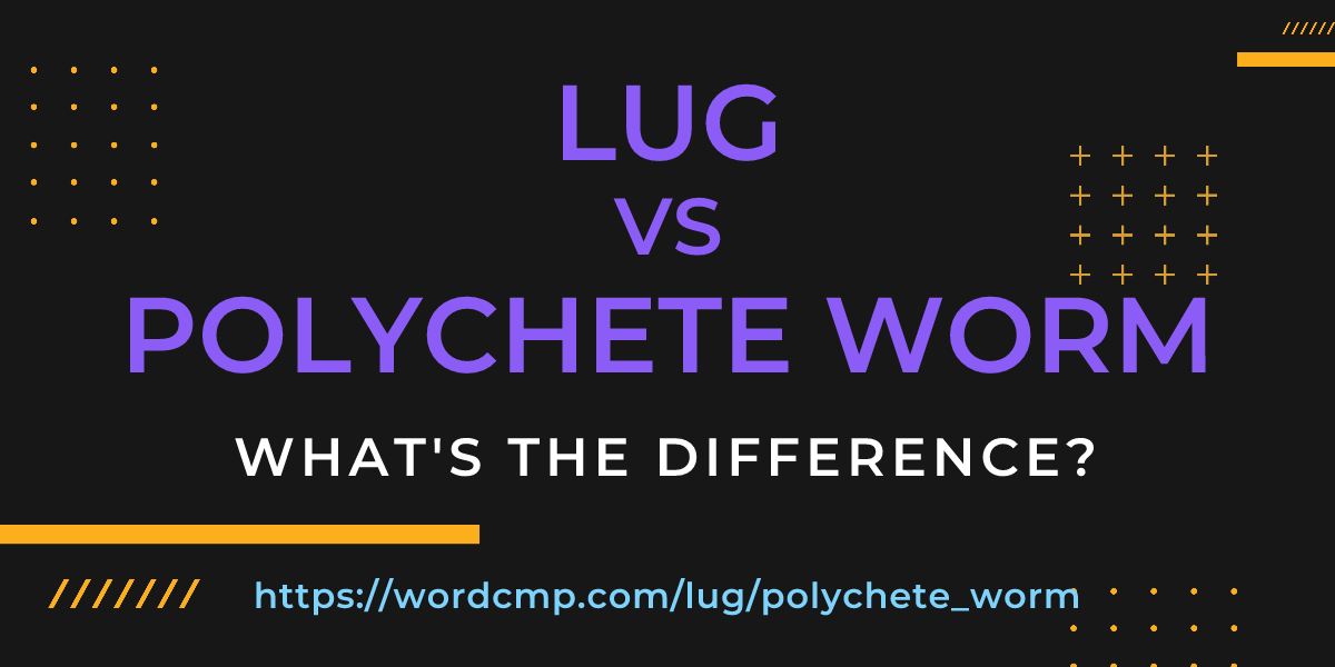Difference between lug and polychete worm