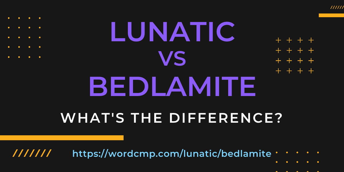 Difference between lunatic and bedlamite