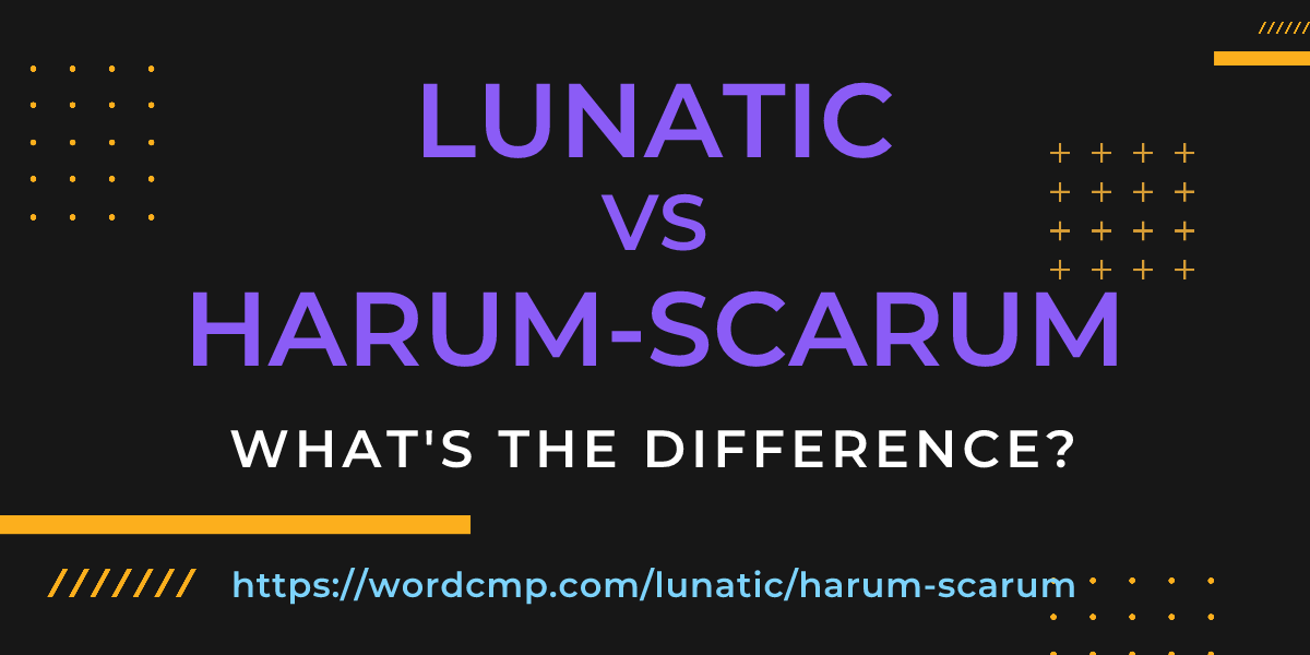Difference between lunatic and harum-scarum