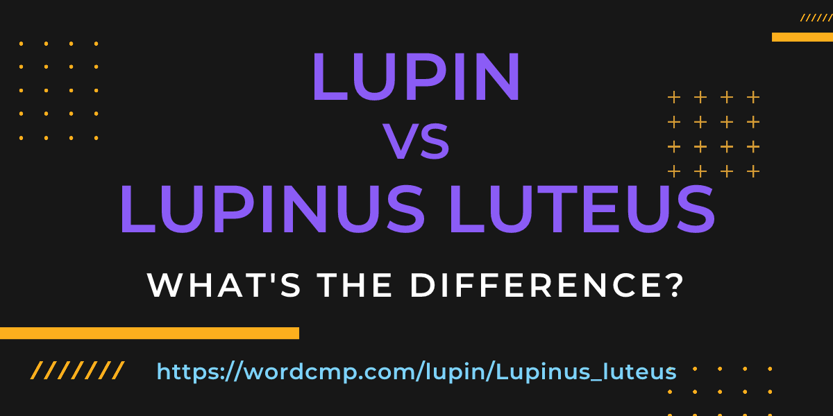 Difference between lupin and Lupinus luteus