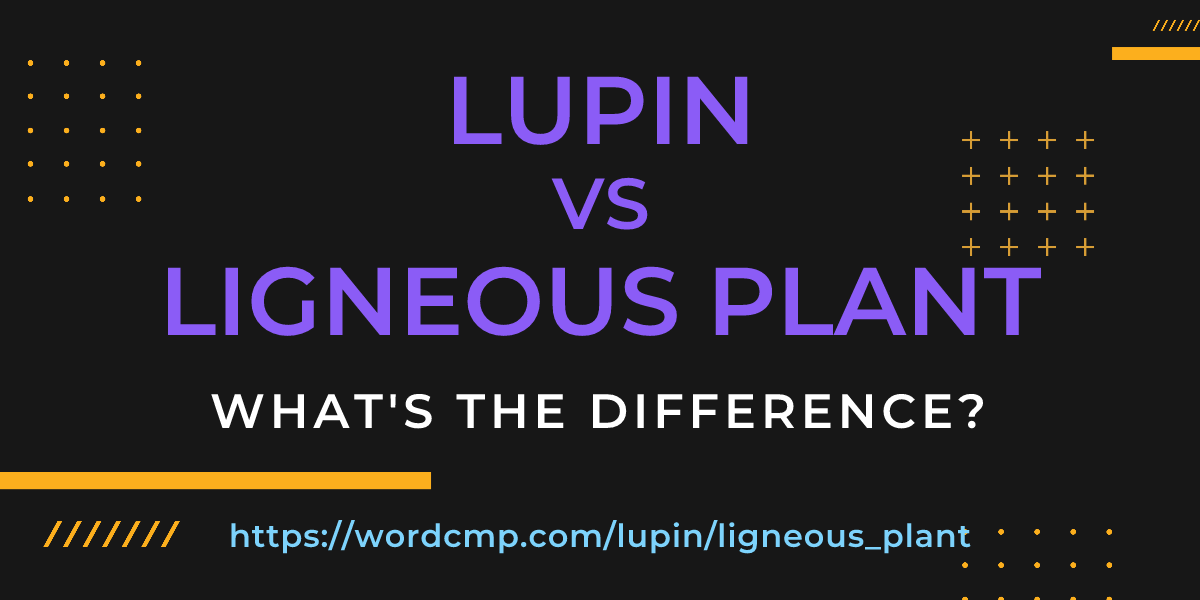 Difference between lupin and ligneous plant