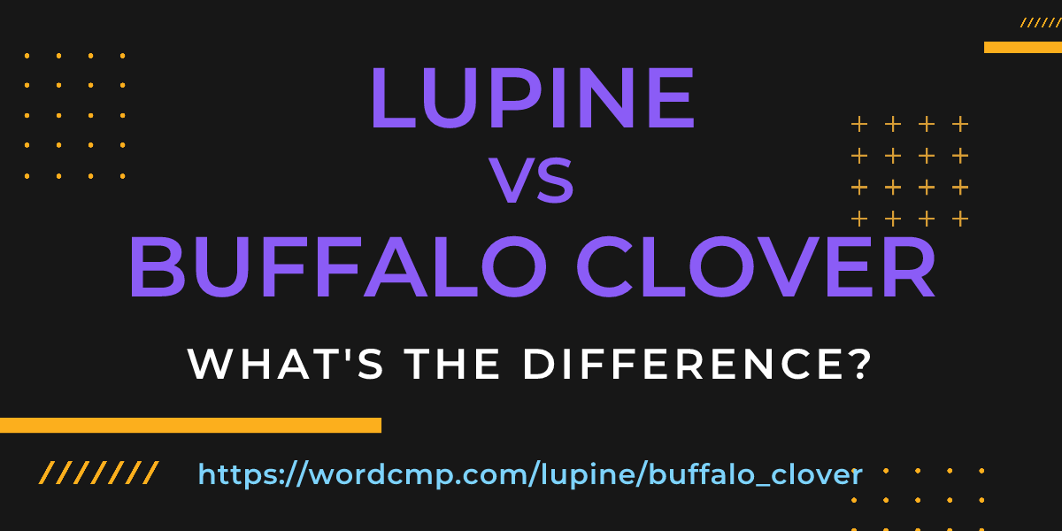 Difference between lupine and buffalo clover