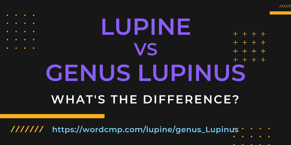 Difference between lupine and genus Lupinus