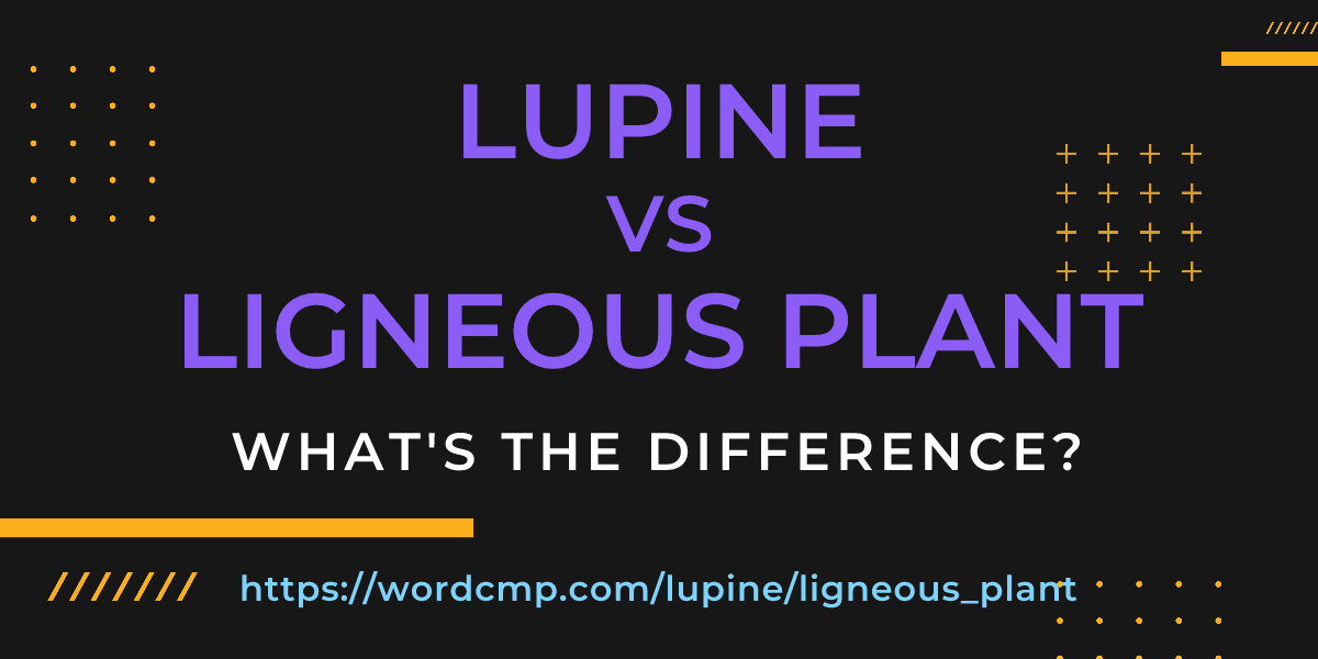 Difference between lupine and ligneous plant