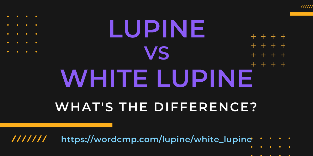 Difference between lupine and white lupine