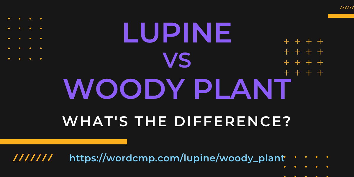 Difference between lupine and woody plant