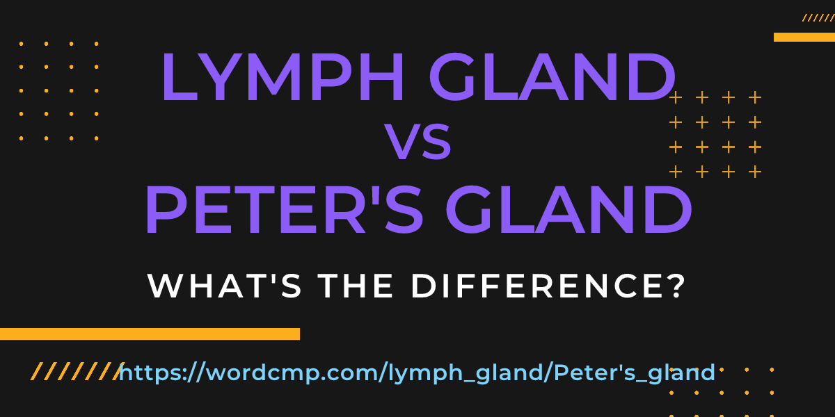 Difference between lymph gland and Peter's gland
