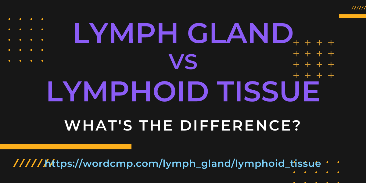 Difference between lymph gland and lymphoid tissue