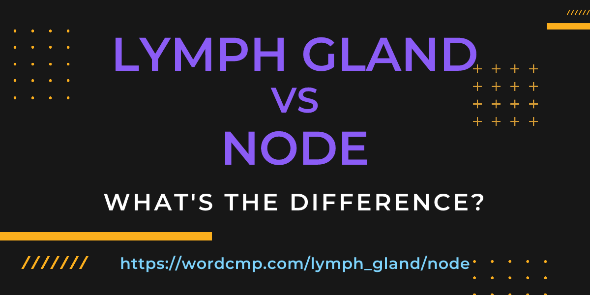 Difference between lymph gland and node