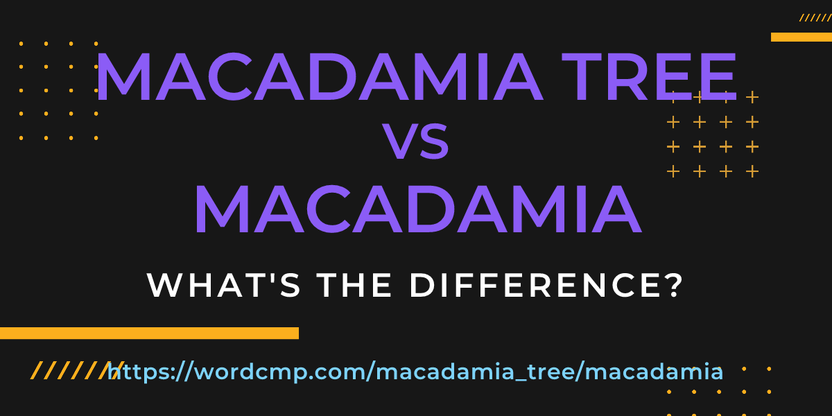 Difference between macadamia tree and macadamia