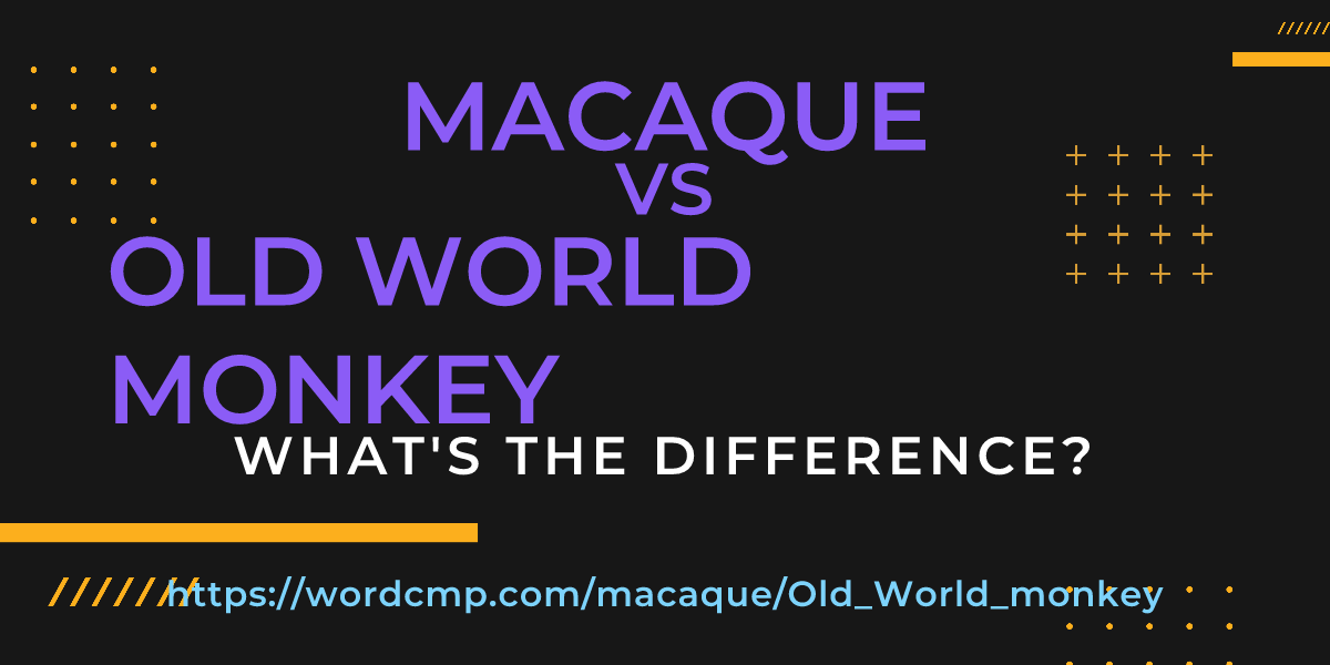 Difference between macaque and Old World monkey