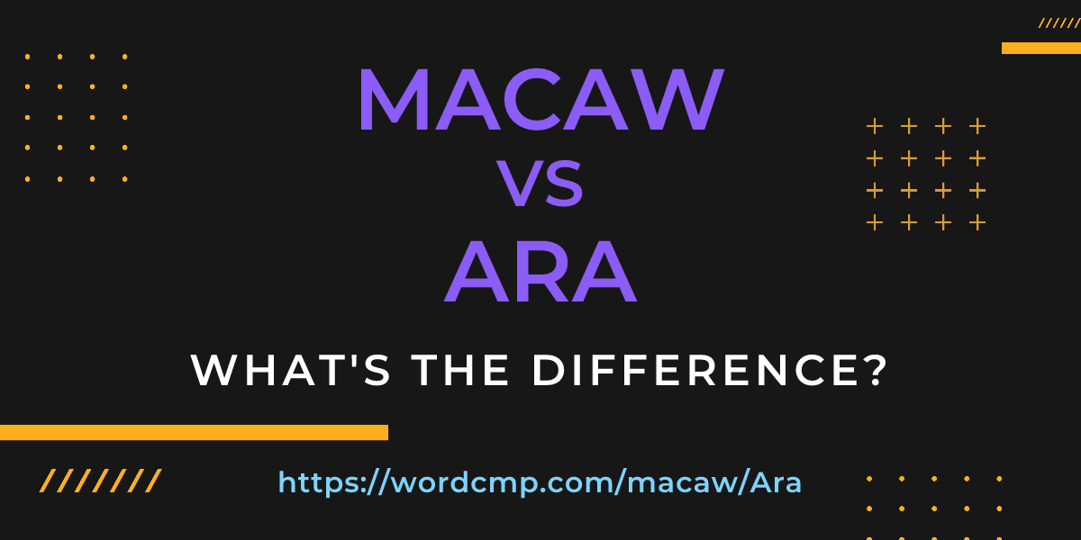 Difference between macaw and Ara