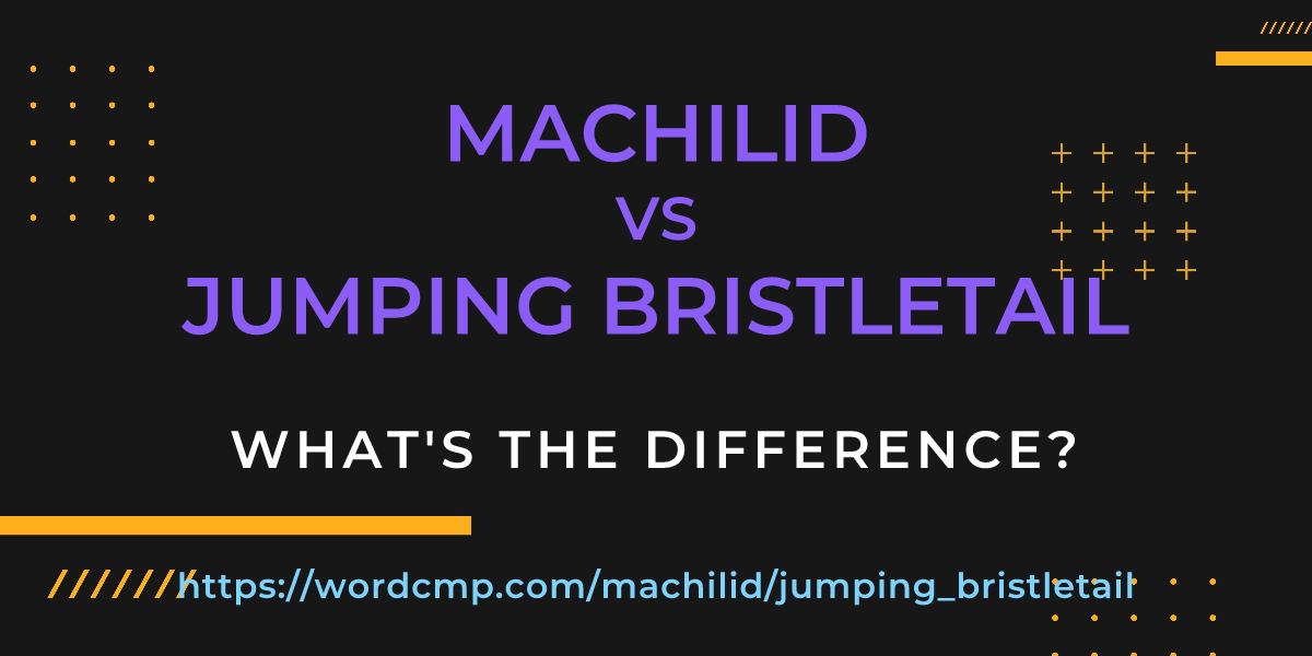 Difference between machilid and jumping bristletail