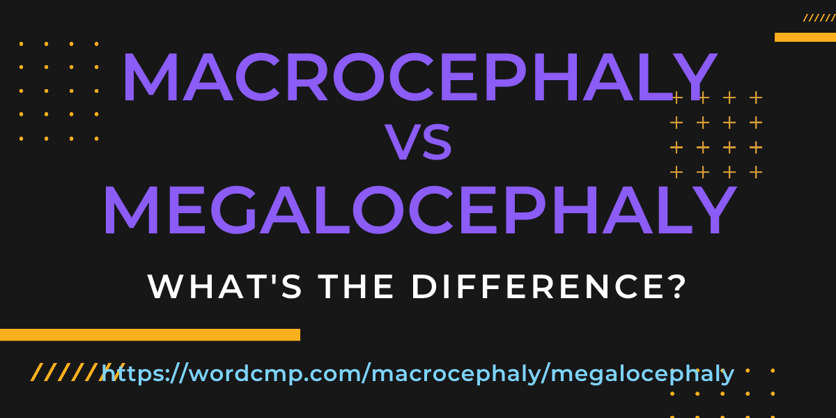 Difference between macrocephaly and megalocephaly