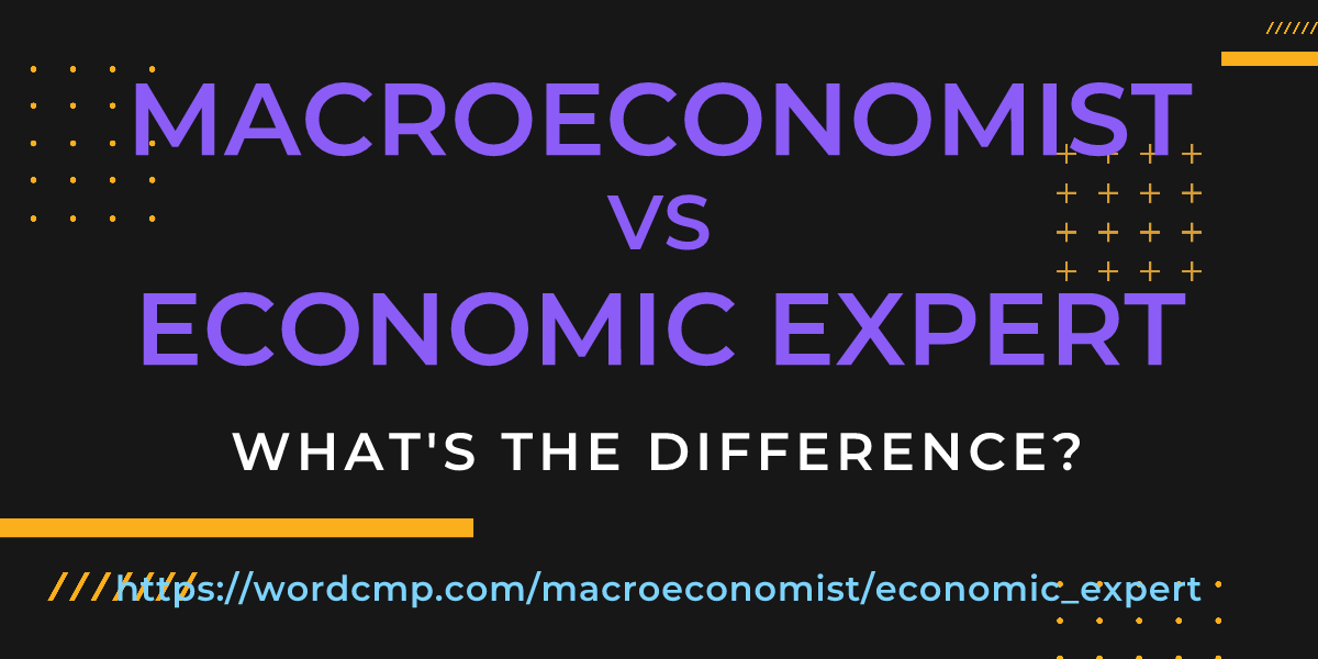 Difference between macroeconomist and economic expert
