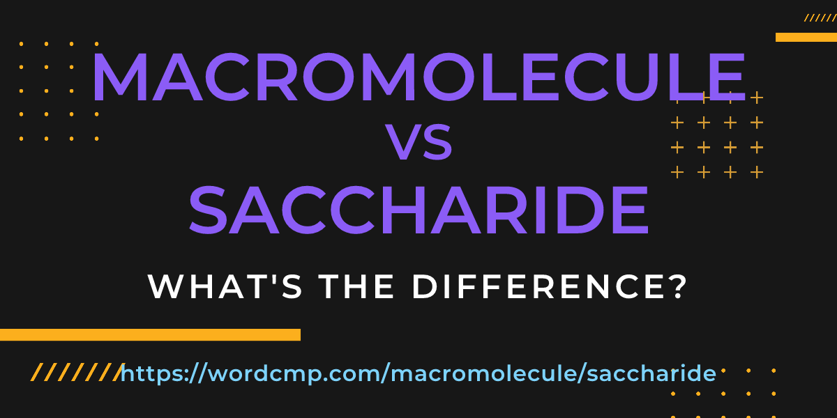 Difference between macromolecule and saccharide