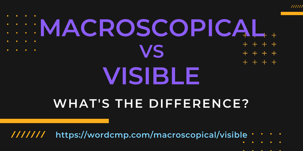 Difference between macroscopical and visible