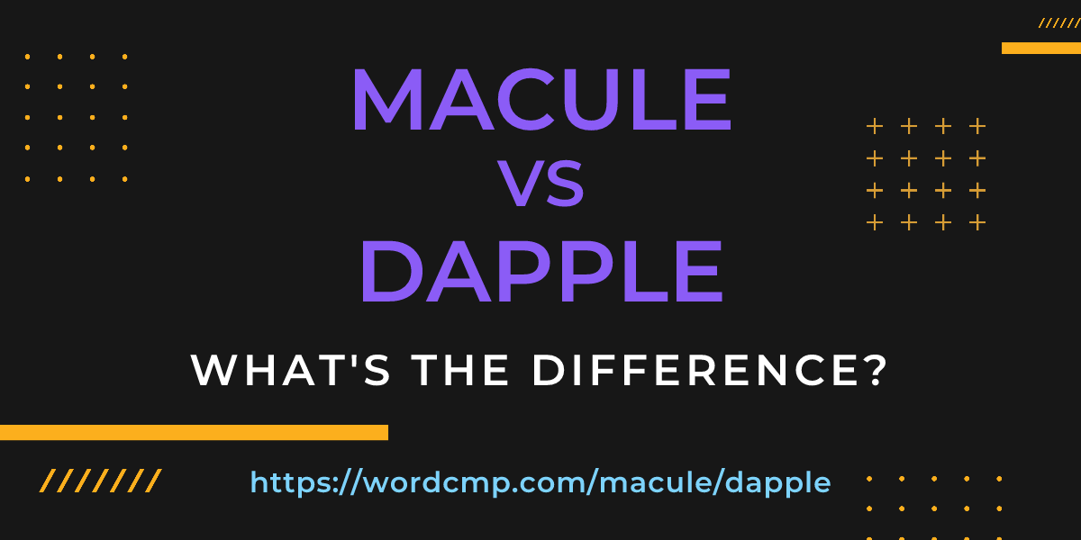 Difference between macule and dapple