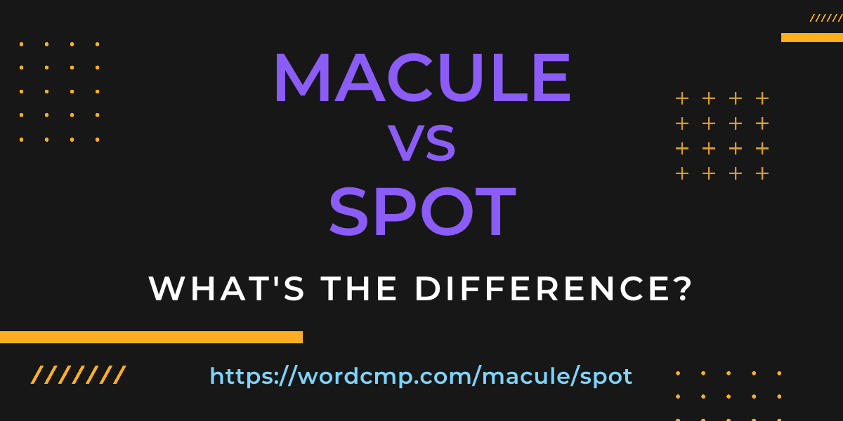 Difference between macule and spot