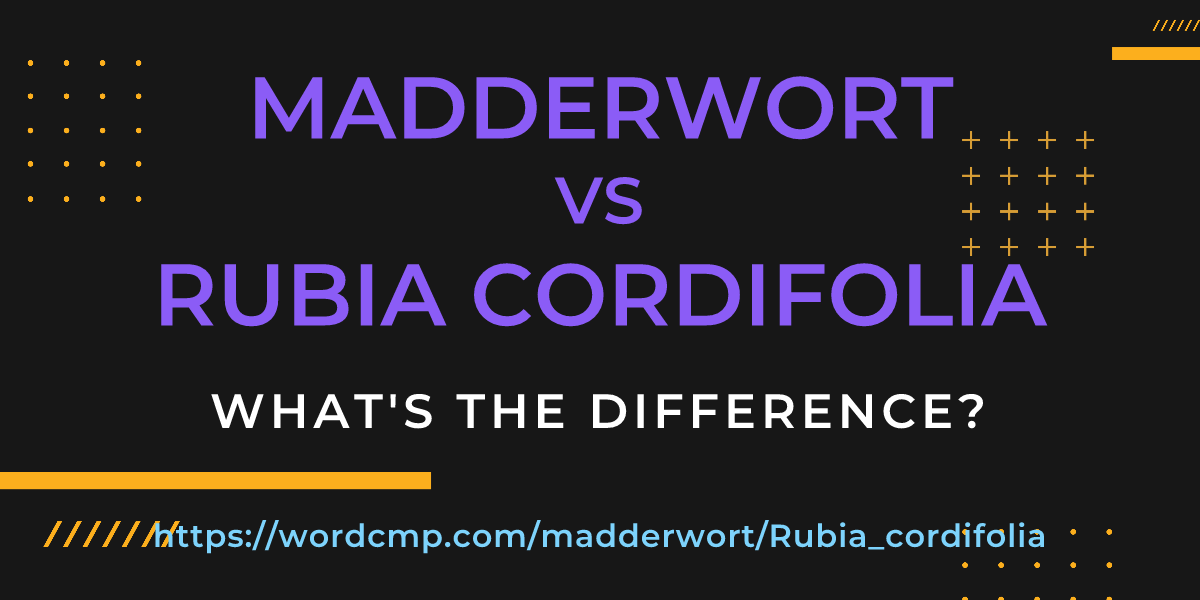 Difference between madderwort and Rubia cordifolia
