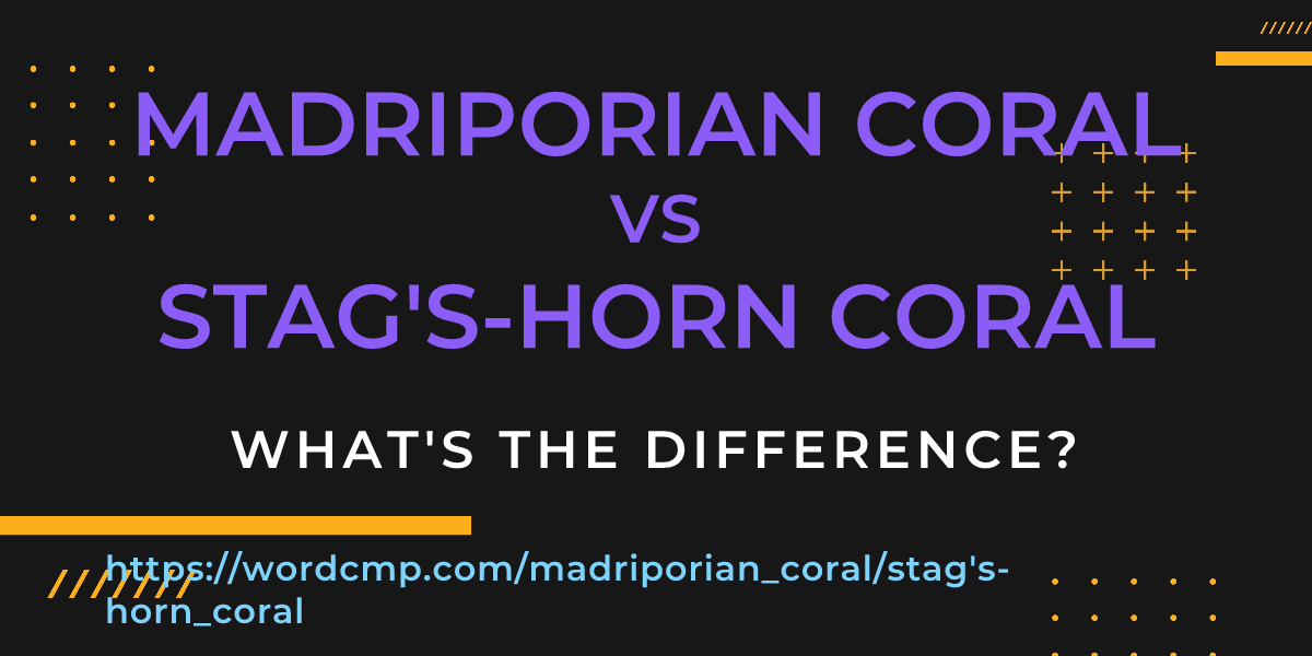 Difference between madriporian coral and stag's-horn coral
