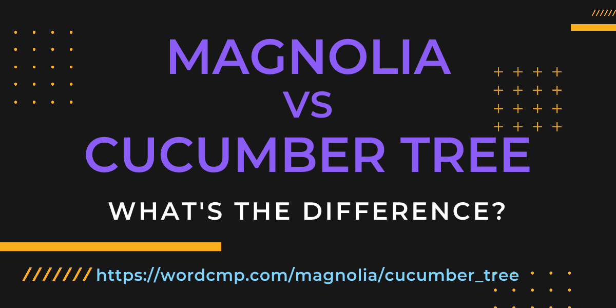 Difference between magnolia and cucumber tree