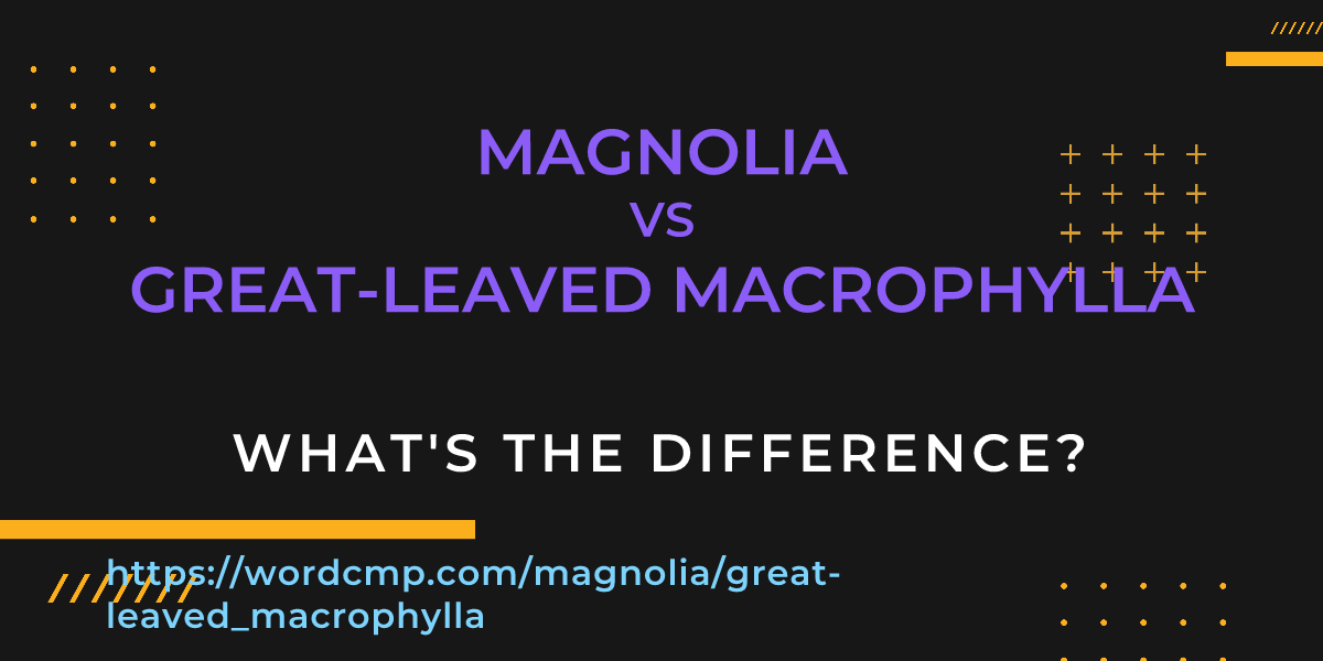Difference between magnolia and great-leaved macrophylla