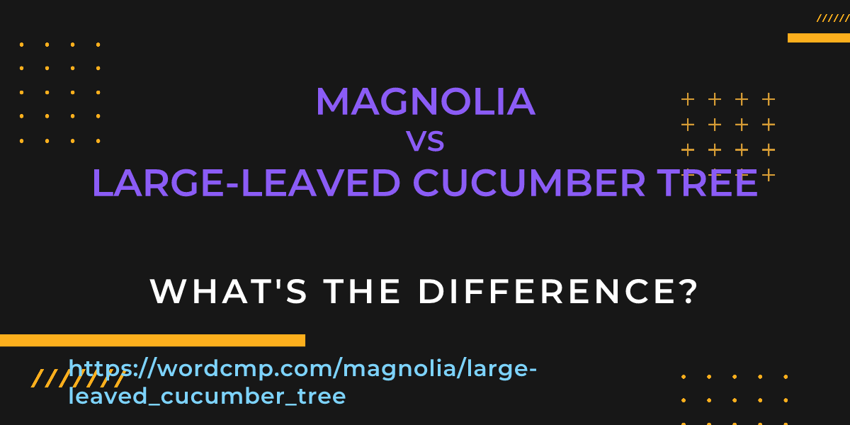 Difference between magnolia and large-leaved cucumber tree