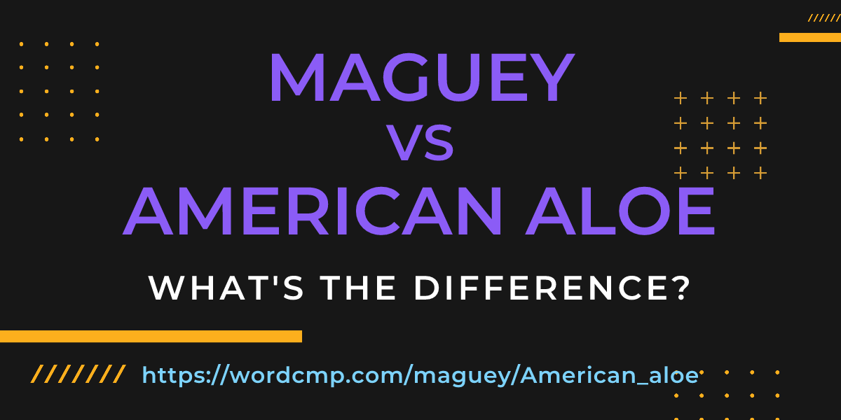 Difference between maguey and American aloe