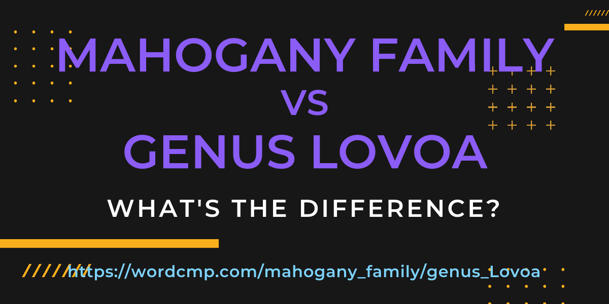 Difference between mahogany family and genus Lovoa