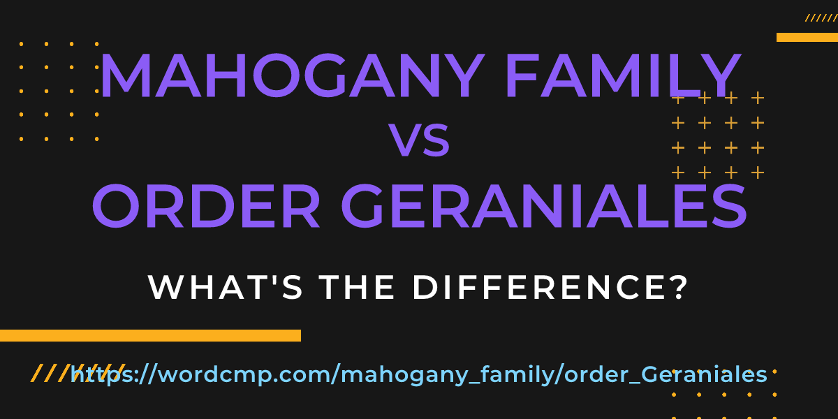Difference between mahogany family and order Geraniales