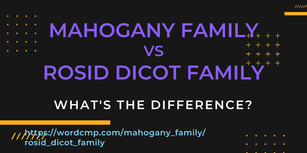Difference between mahogany family and rosid dicot family