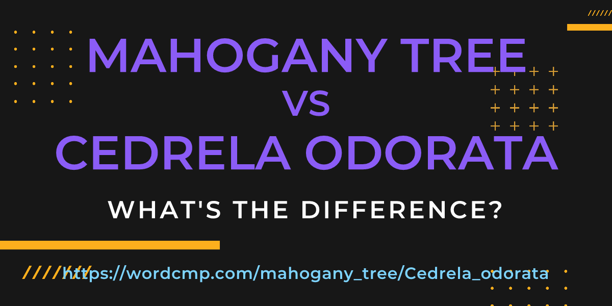 Difference between mahogany tree and Cedrela odorata