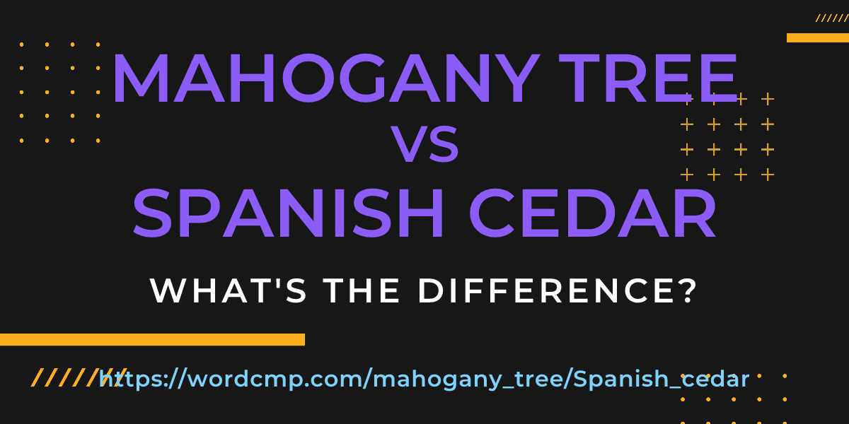 Difference between mahogany tree and Spanish cedar