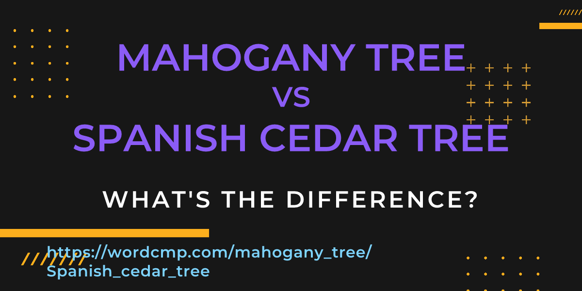 Difference between mahogany tree and Spanish cedar tree