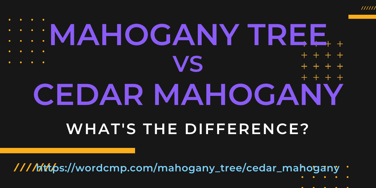Difference between mahogany tree and cedar mahogany