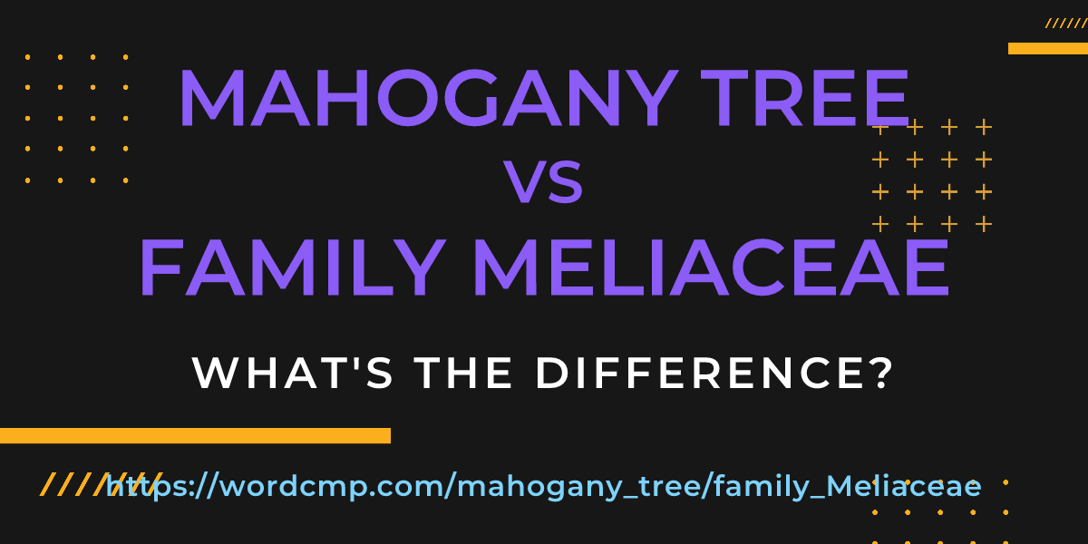 Difference between mahogany tree and family Meliaceae
