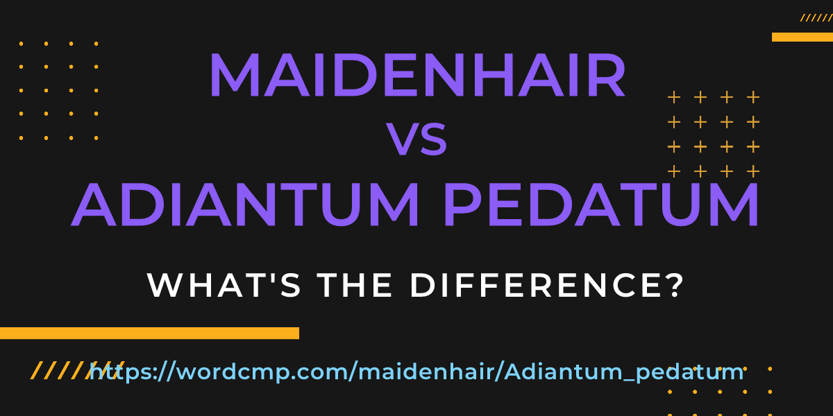 Difference between maidenhair and Adiantum pedatum