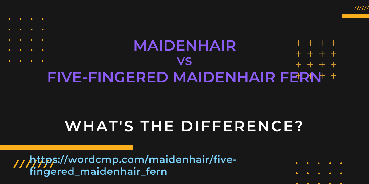 Difference between maidenhair and five-fingered maidenhair fern