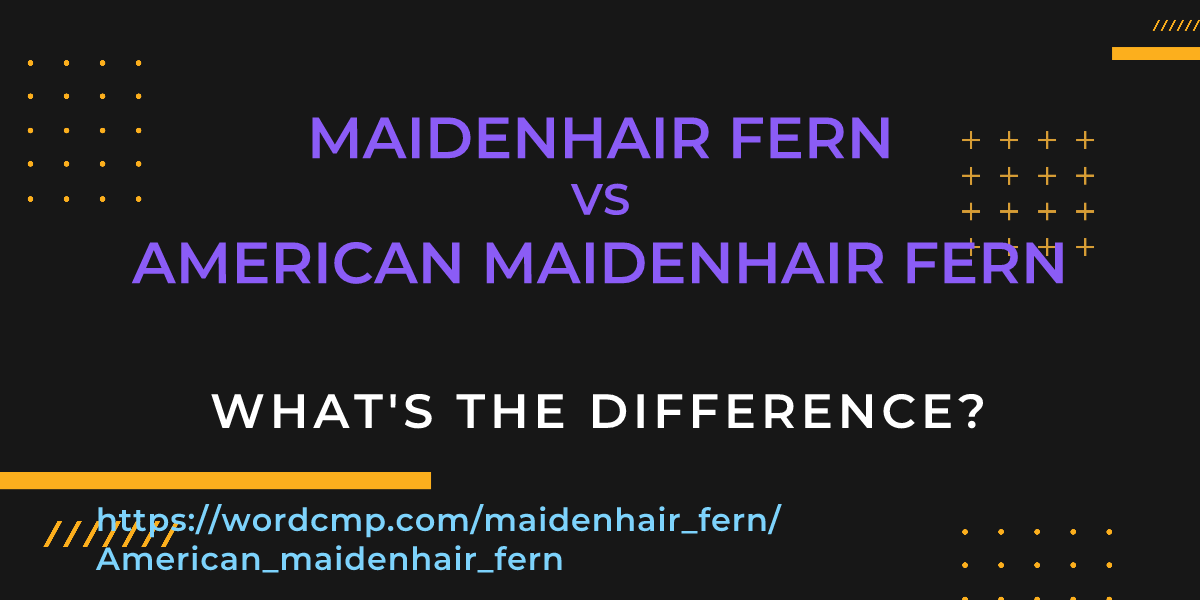 Difference between maidenhair fern and American maidenhair fern