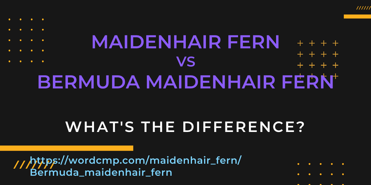 Difference between maidenhair fern and Bermuda maidenhair fern