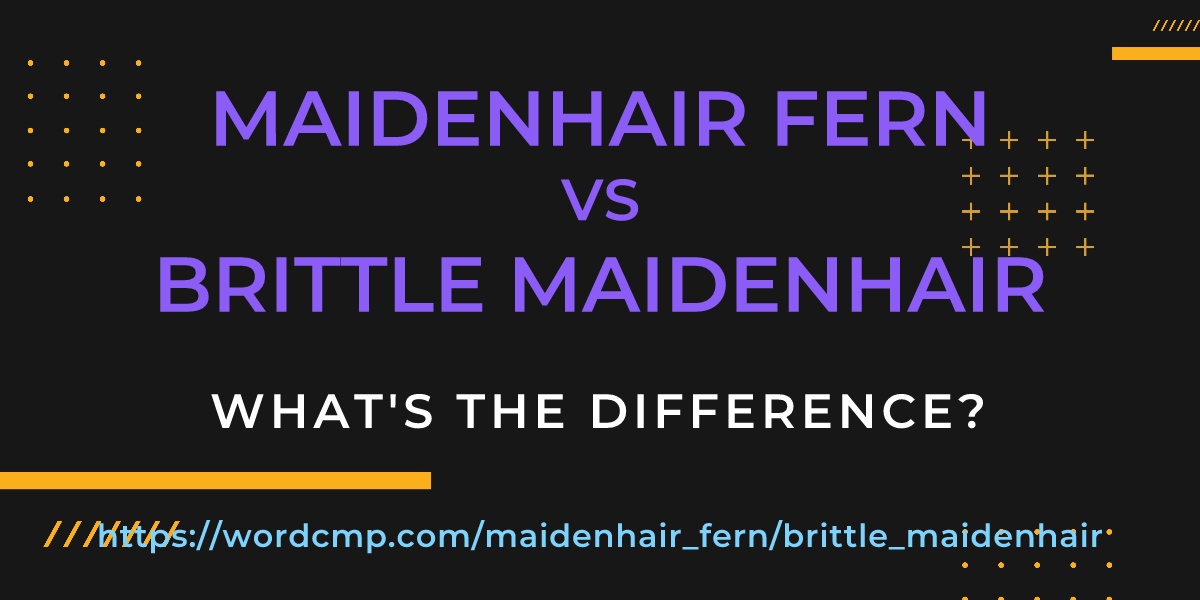 Difference between maidenhair fern and brittle maidenhair