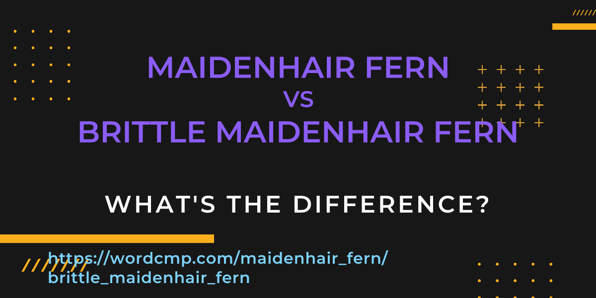 Difference between maidenhair fern and brittle maidenhair fern